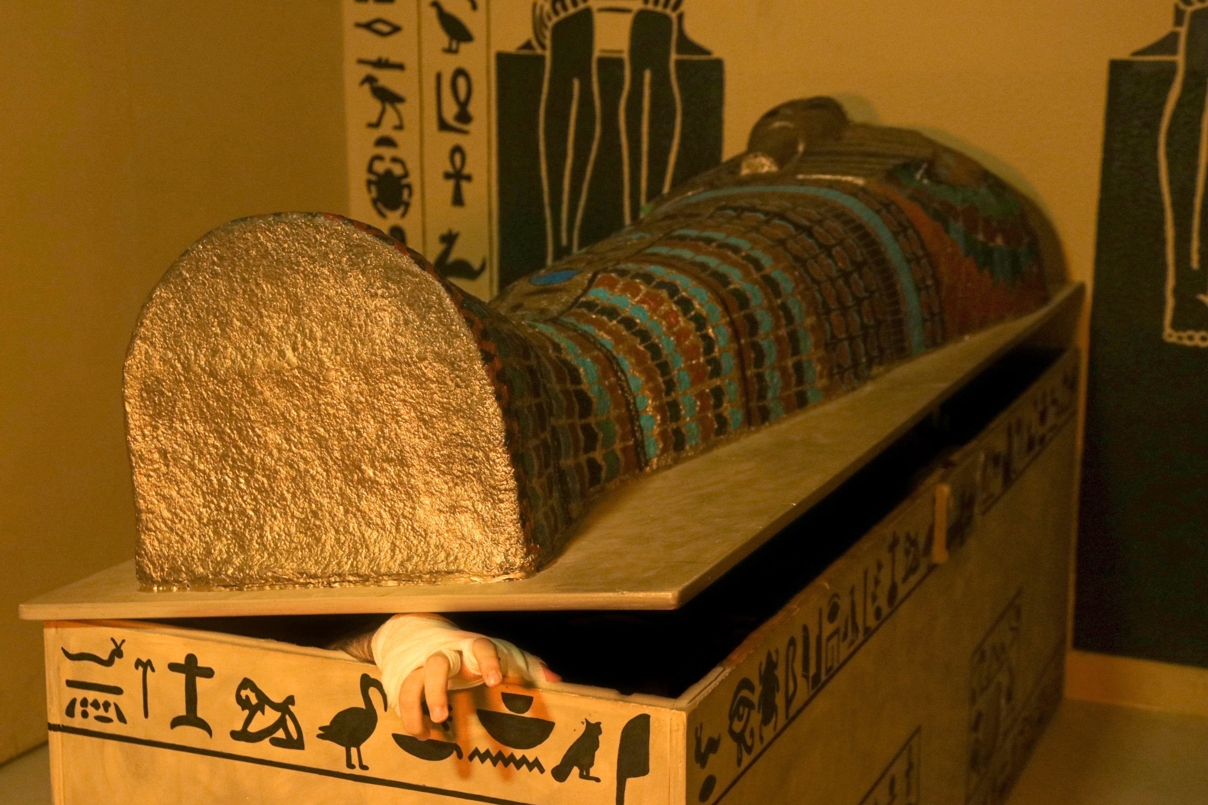 The Pharaoh's Tomb
